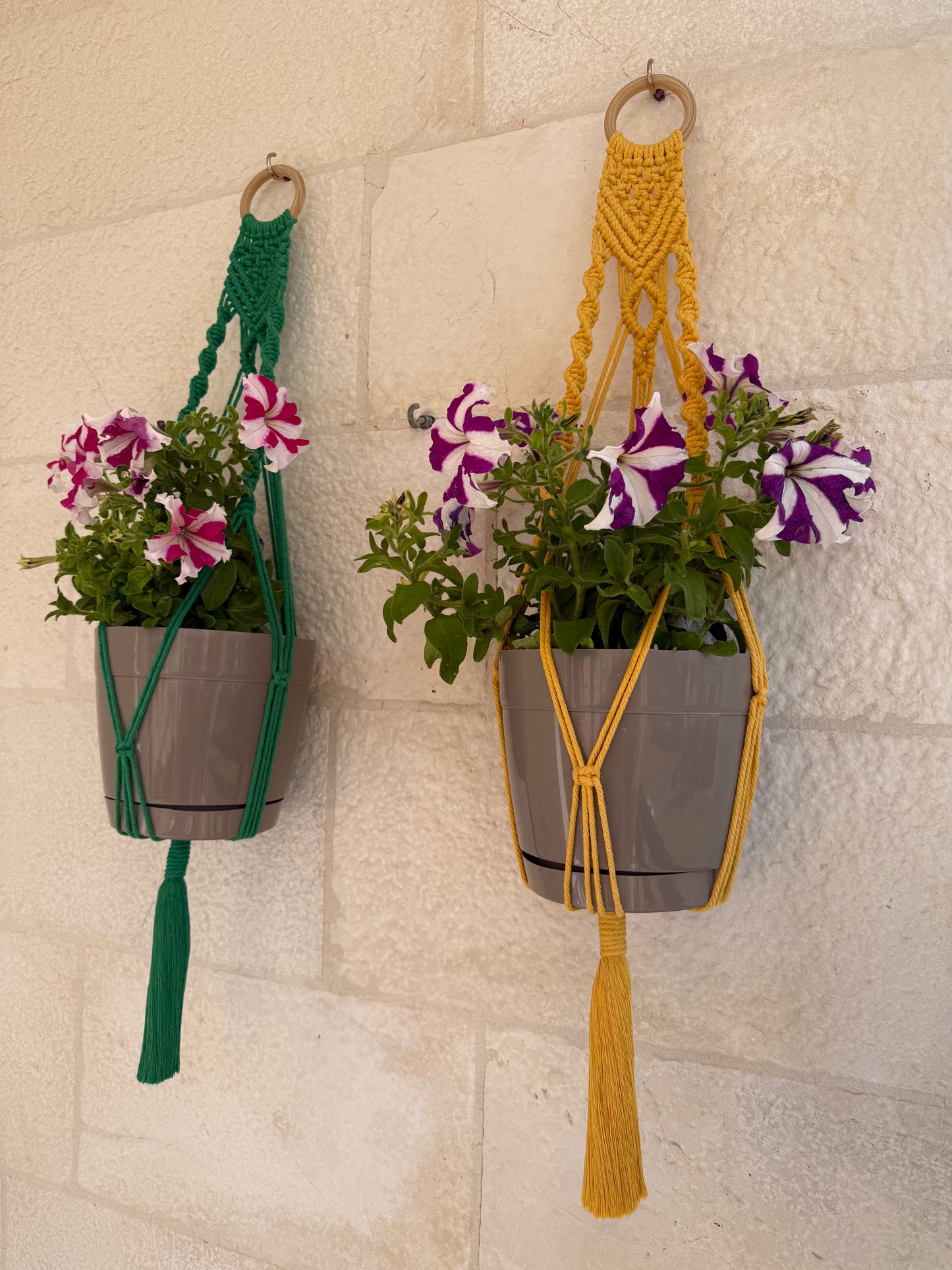 Wallside Plant Hanger