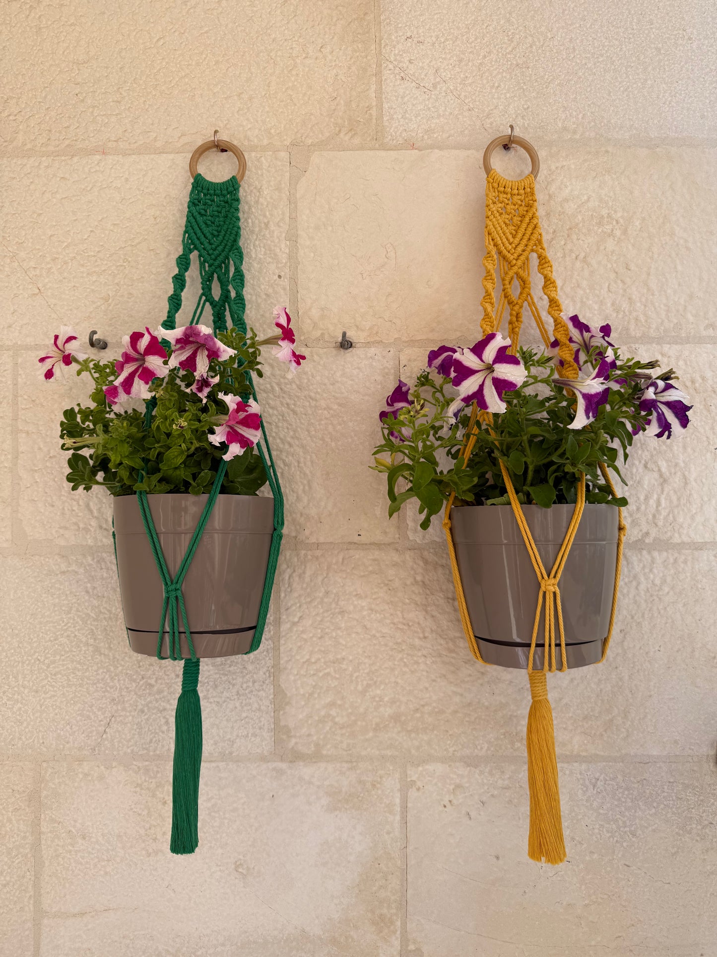 Wallside Plant Hanger