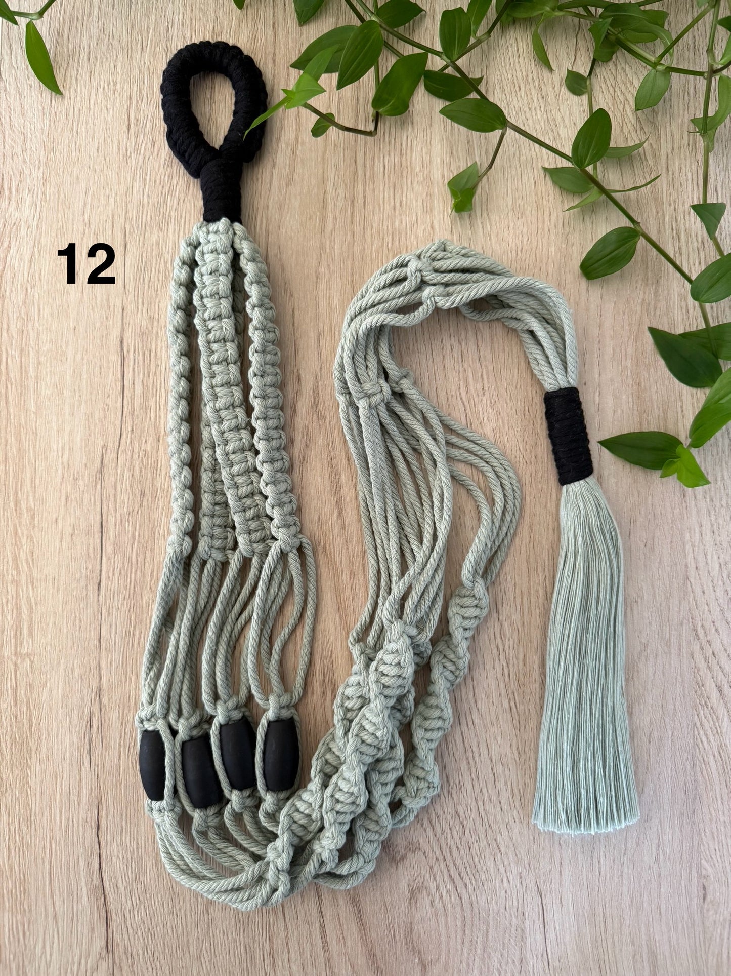 Colorful Plant Hangers