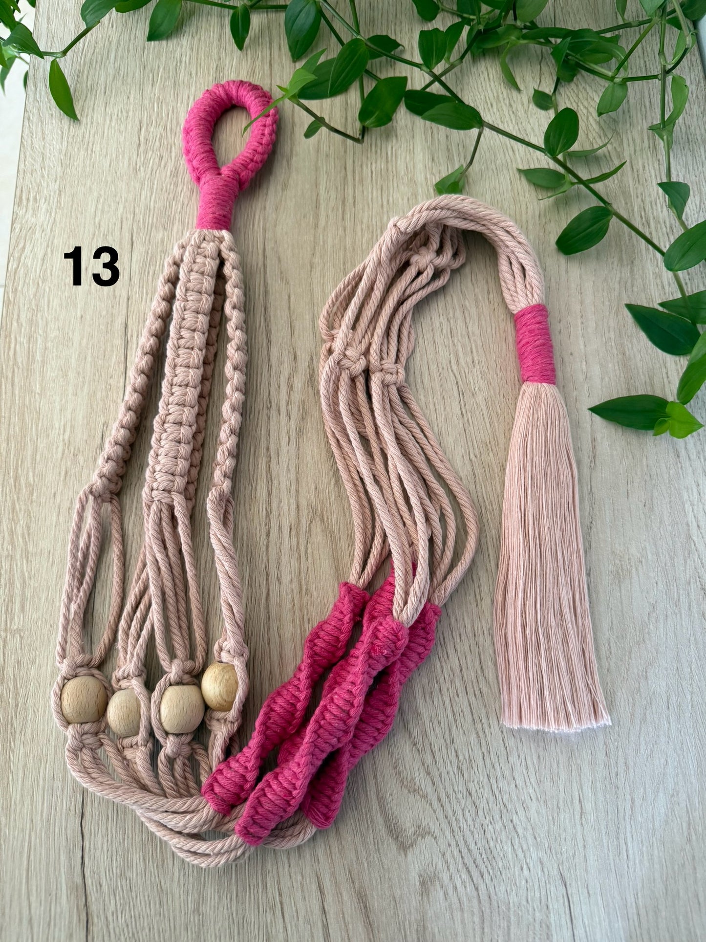 Colorful Plant Hangers