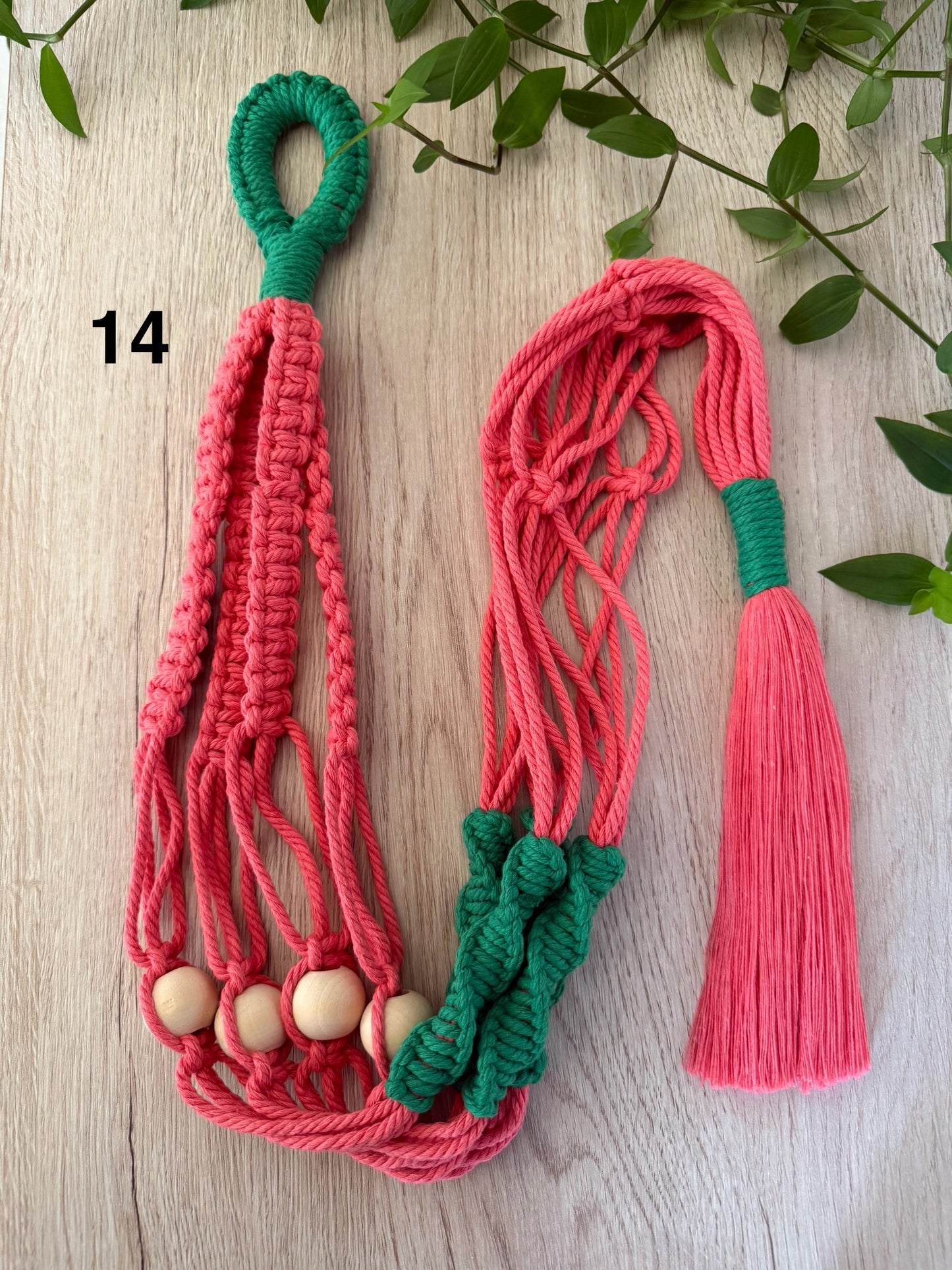 Colorful Plant Hangers