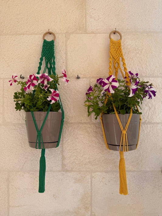 Wallside Plant Hanger