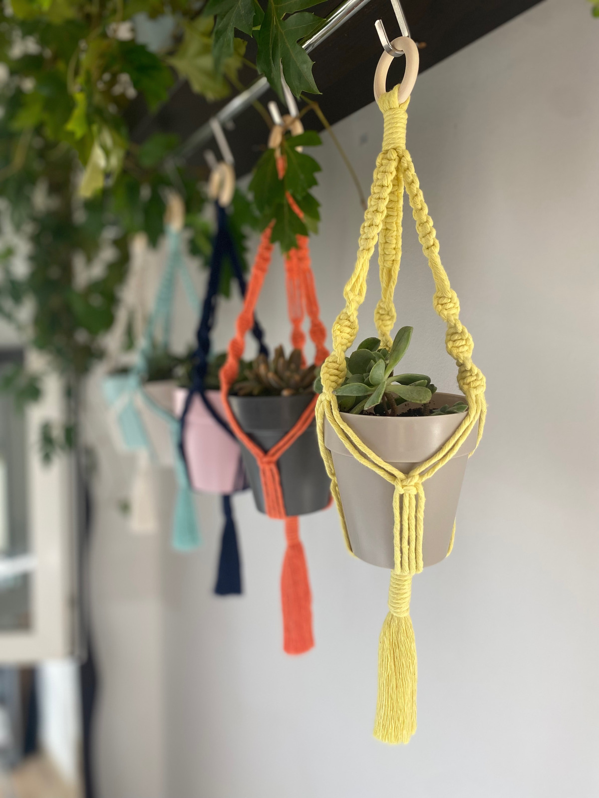 mini plant hanger Mini Plant Hanger – Knot & Hook