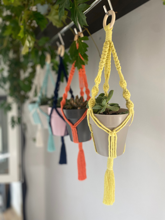 Mini Plant Hanger